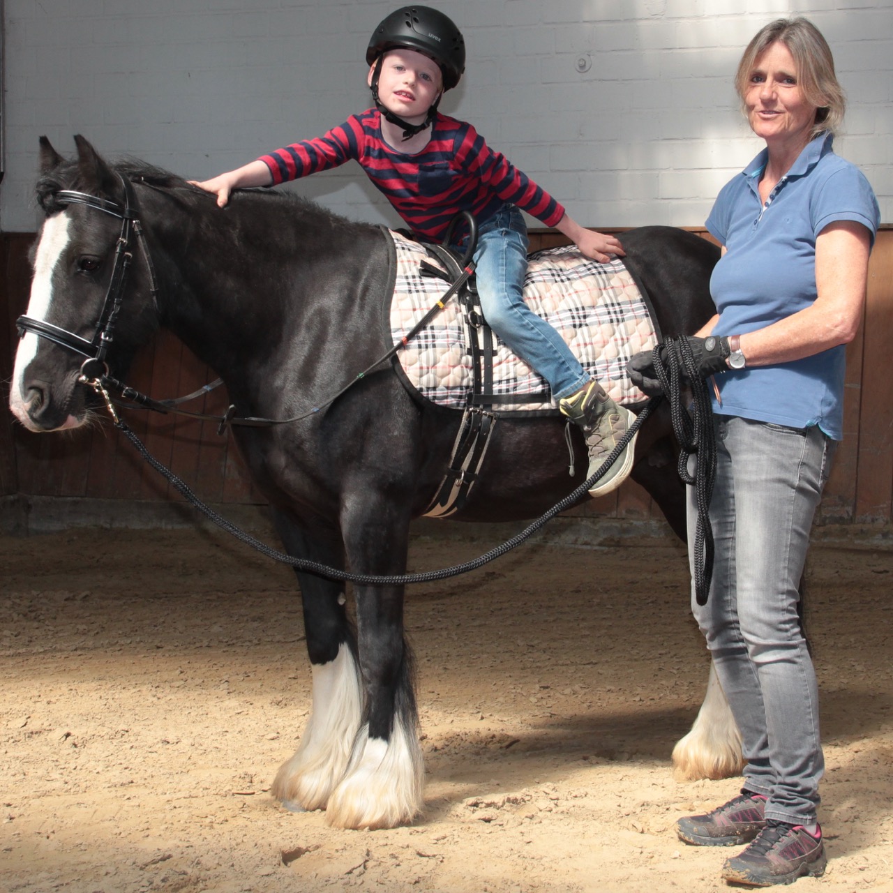 Pferdegestützte Therapie